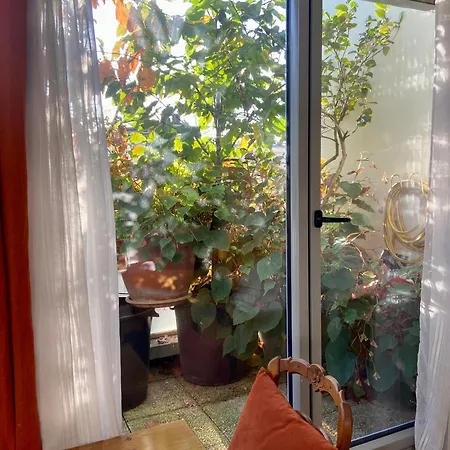 Apartment Avec Terrasse