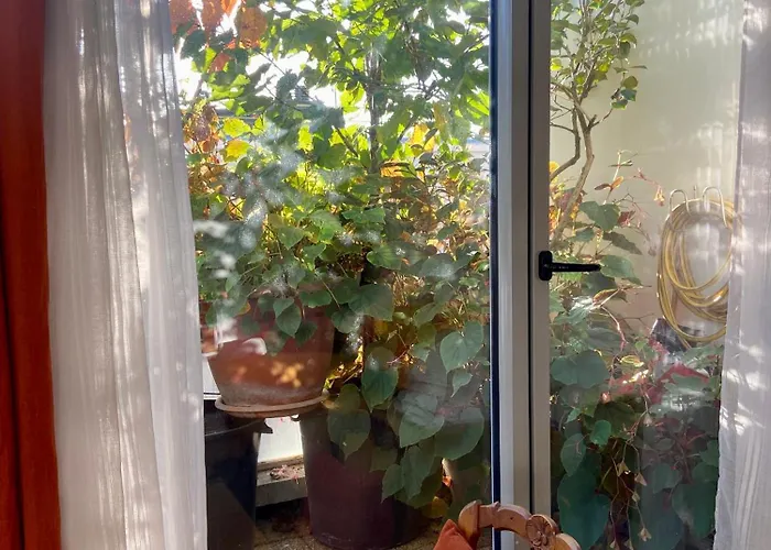 Apartman Avec Terrasse